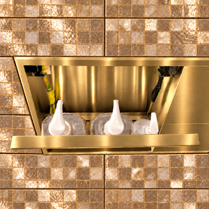 Inside view of the door niche, 12 × 24 in, gold PVD, door open: bottles stored in the compartment